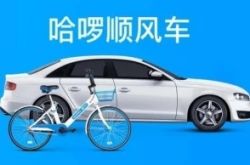 【详细教程】青岛 咨询_哔哩哔哩-2